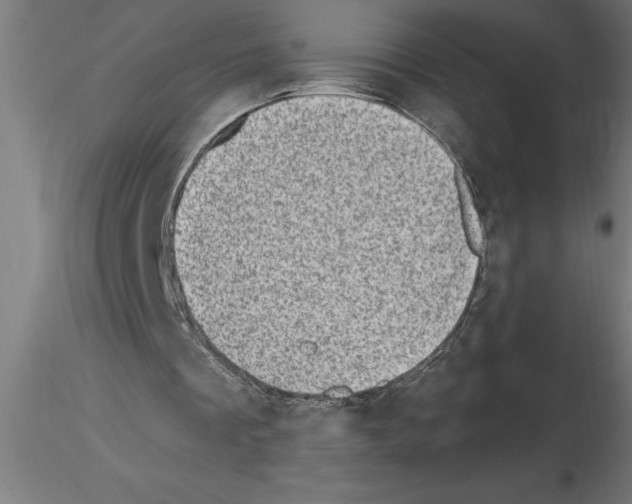 X0000115280289200912111232