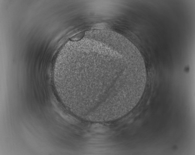 X0000115280290200912111232