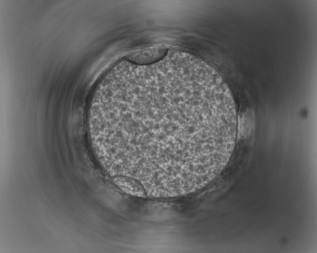 X0000115280291200912111232