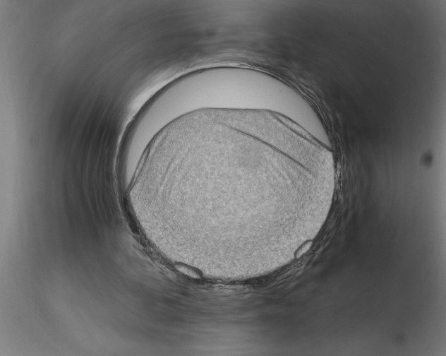 X0000115280292200912111232