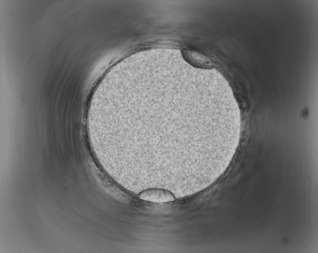 X0000115280293200912111232