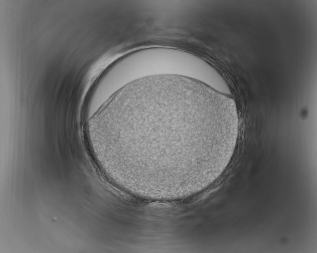 X0000115280294200912111232