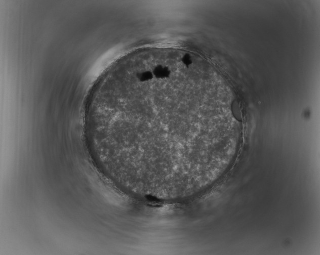 X0000115280295200912111232