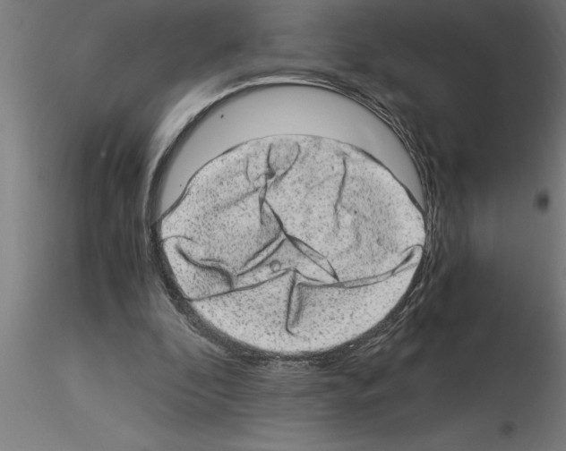 X0000115280296200912111232