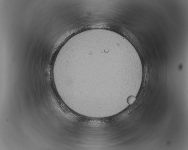 X0000115280298200912111232