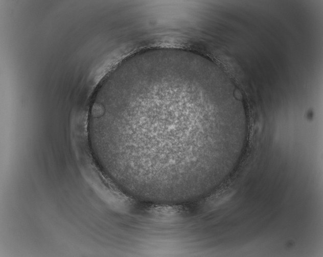 X0000115280299200912111232