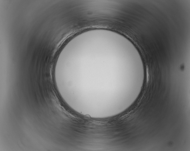 X0000115280300200912111232