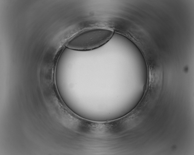 X0000115280301200912111232