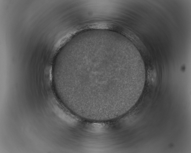 X0000115280302200912111232