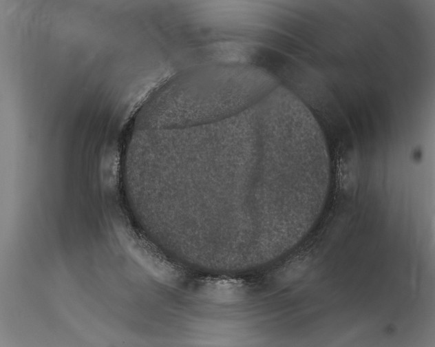 X0000115280304200912111232