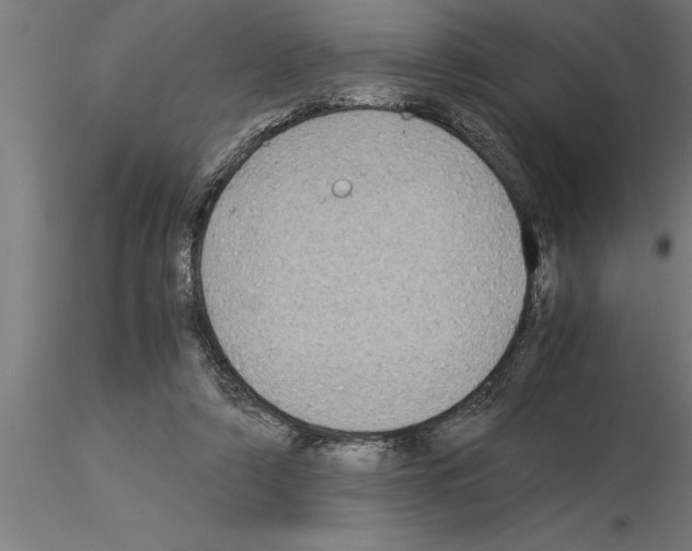 X0000115280306200912111232