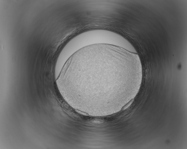 X0000115280308200912111232