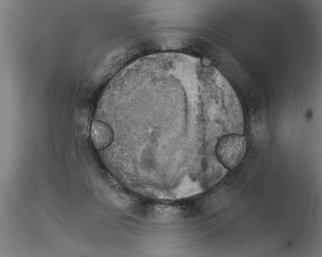 X0000115280311200912111232