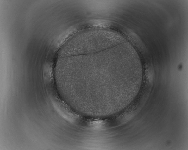 X0000115280312200912111232