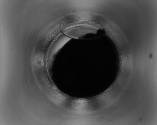 X0000115280313200912111232