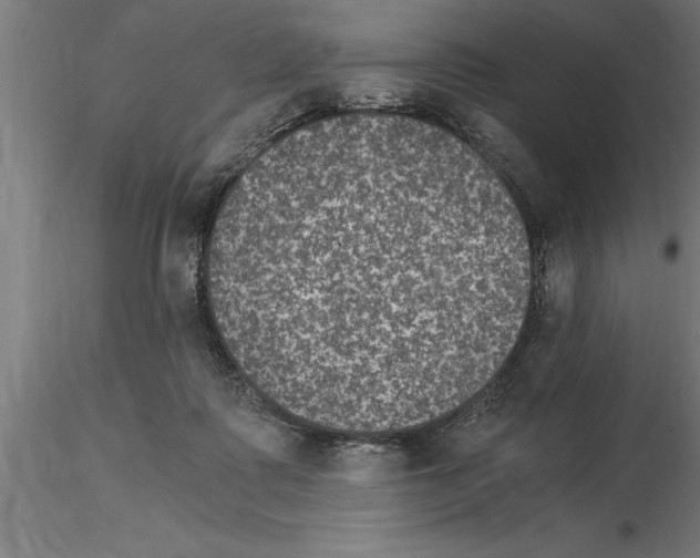 X0000115280315200912111232