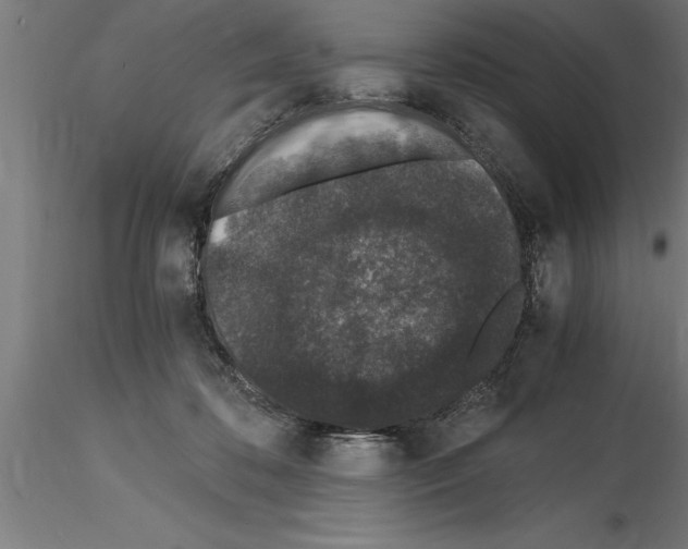 X0000115280316200912111232