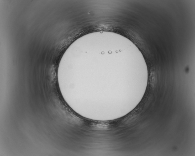 X0000115280318200912111232