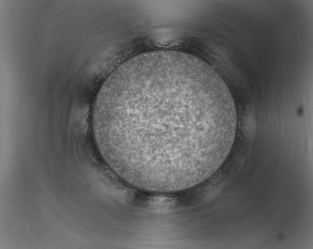 X0000115280319200912111232