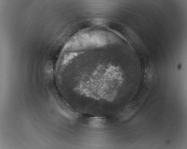 X0000115280320200912111232