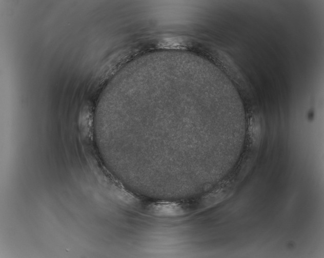 X0000115280322200912111232