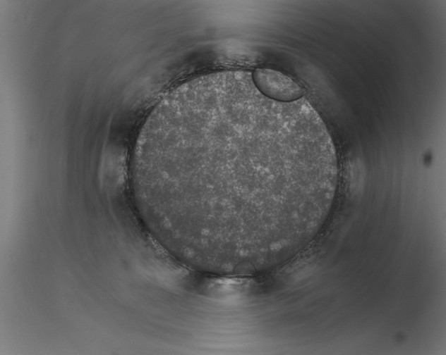 X0000115280323200912111232