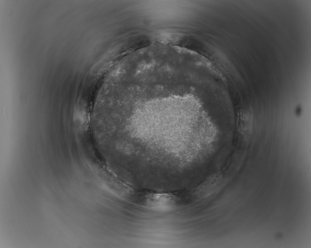 X0000115280324200912111232