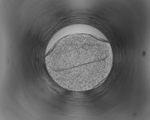 X0000115280328200912111232