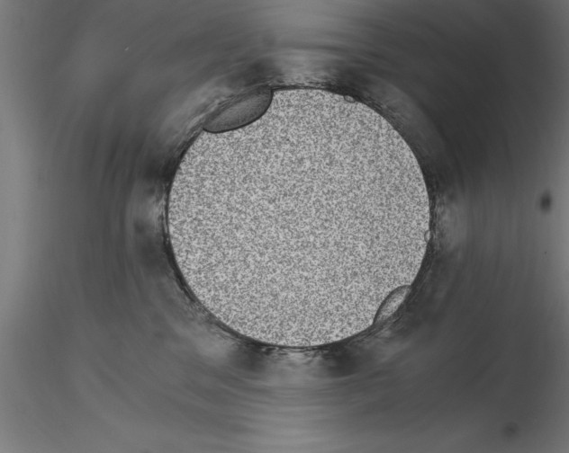 X0000115280329200912111232