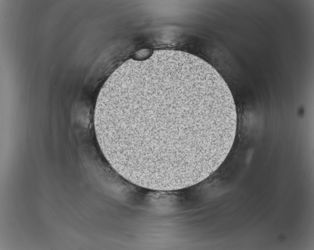 X0000115280331200912111232