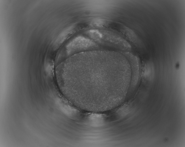 X0000115280332200912111232