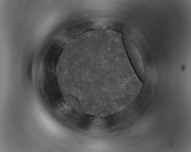 X0000115280335200912111232