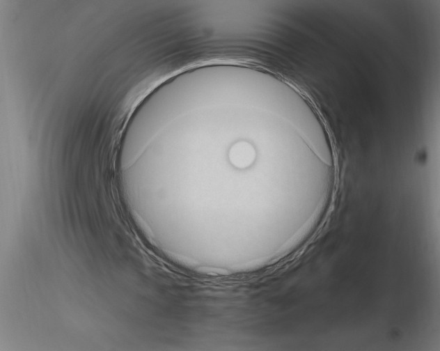 X0000115280337200912111231