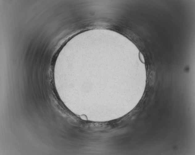 X0000115280338200912111231