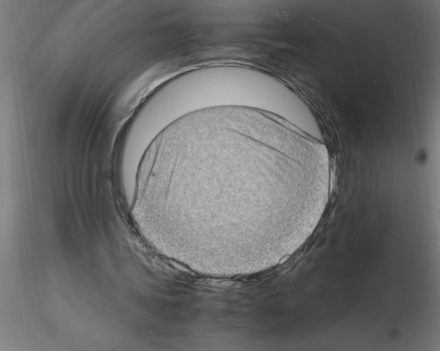 X0000115280339200912111231