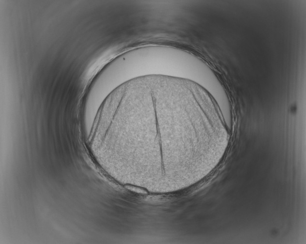 X0000115280341200912111231