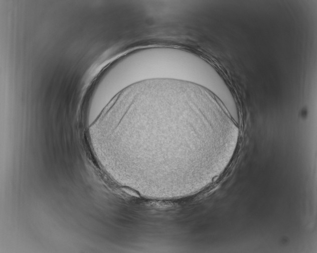 X0000115280343200912111231