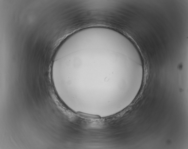 X0000115280345200912111231