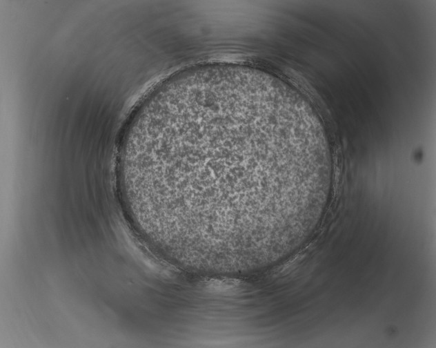 X0000115280346200912111231