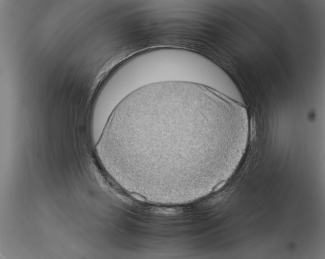 X0000115280349200912111231