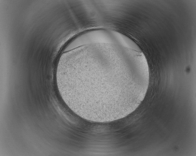 X0000115280350200912111231