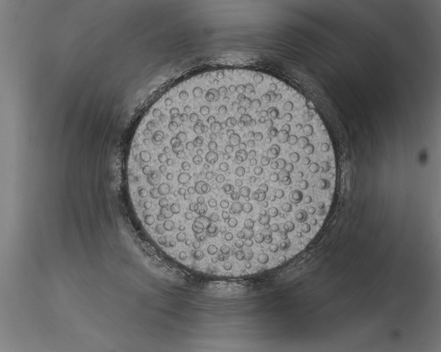 X0000115280354200912111231