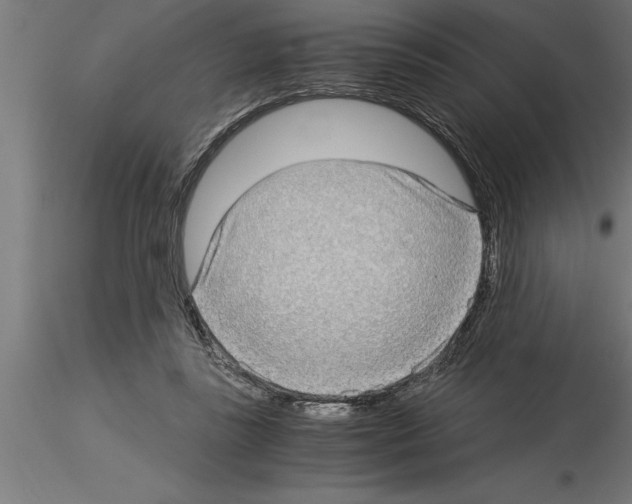 X0000115280355200912111231