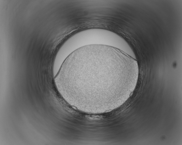 X0000115280359200912111231