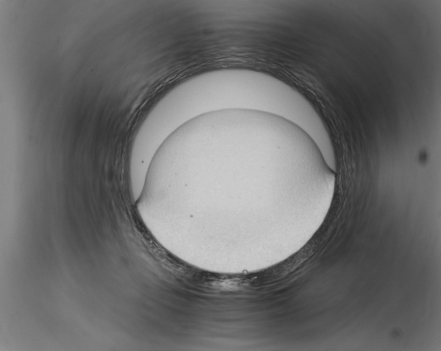 X0000115280365200912111231