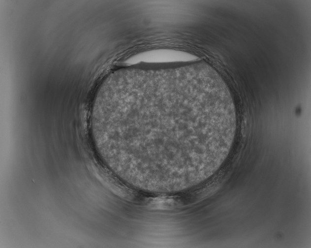 X0000115280366200912111231