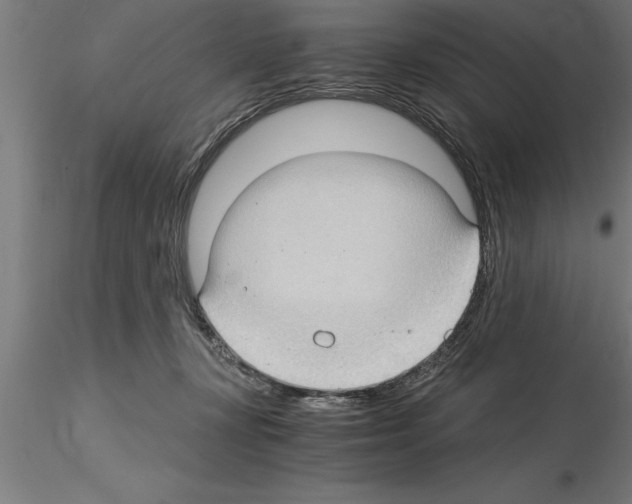 X0000115280367200912111231