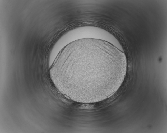 X0000115280369200912111231