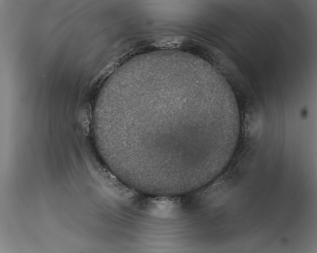 X0000115280370200912111231