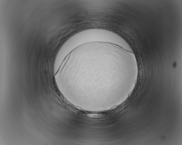 X0000115280371200912111231